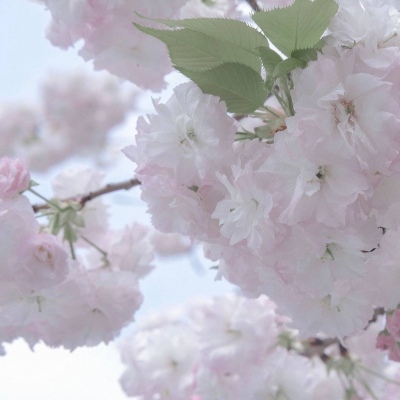 麻城FurryQQ群介绍